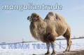 MONGOLIANTRADE