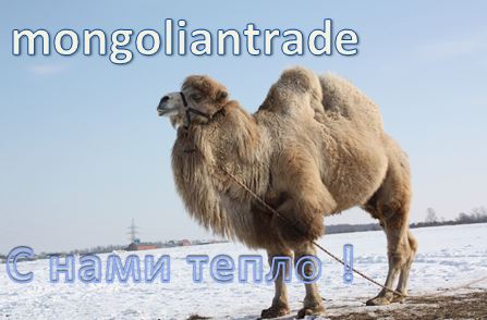 MONGOLIANTRADE